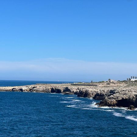Bvholidayhouse Polignano a Mare Eksteriør billede